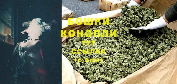 прущие грибы Аркадак