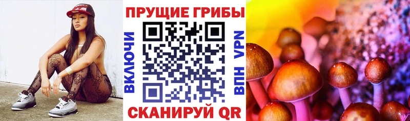 Псилоцибиновые грибы MAGIC MUSHROOMS  Зеленоградск 