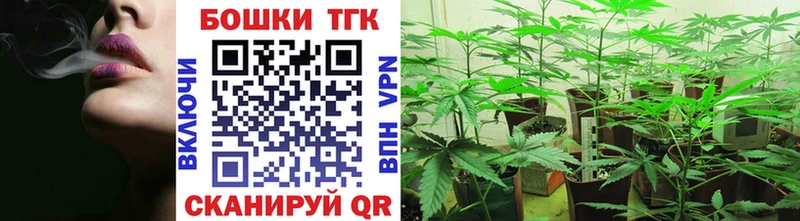 купить закладку  Зеленоградск  даркнет Telegram  Канабис планчик 